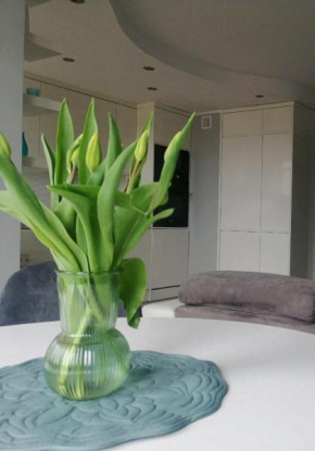 Apartament 35 Olsztynek